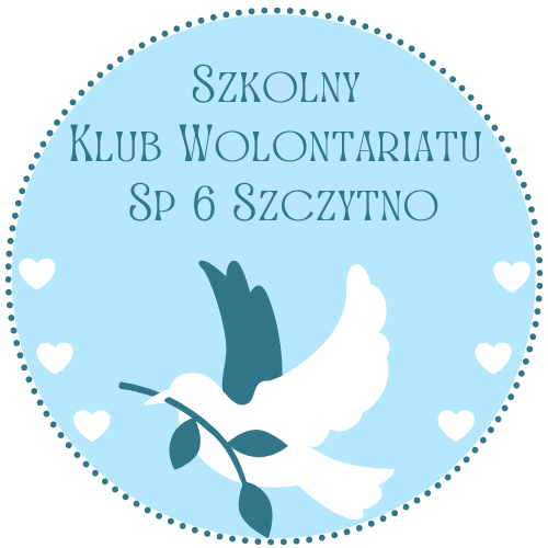 wolontariat