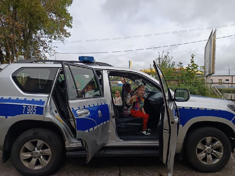 policja
