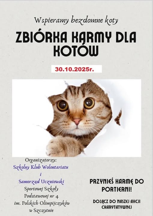 ZBIÓRKA KARMY DLA KOTÓW - wspieramy bezdomne koty 
