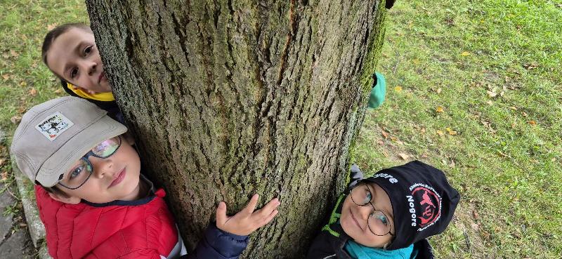 Przytul się do drzewa