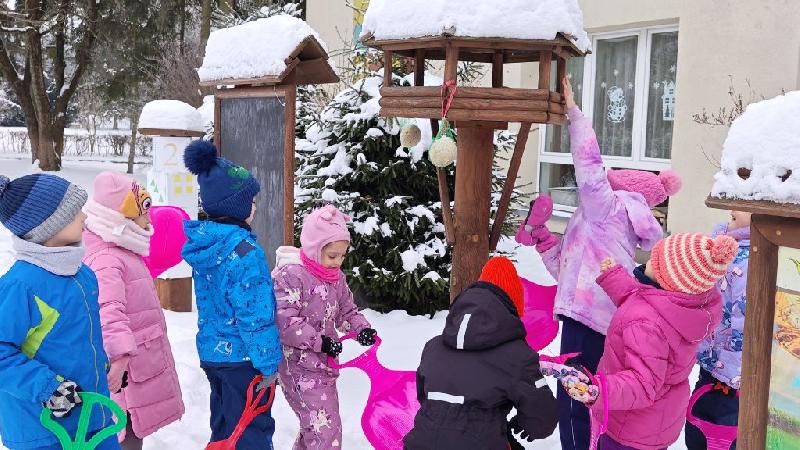 Dokarmiamy ptaki pszczółki