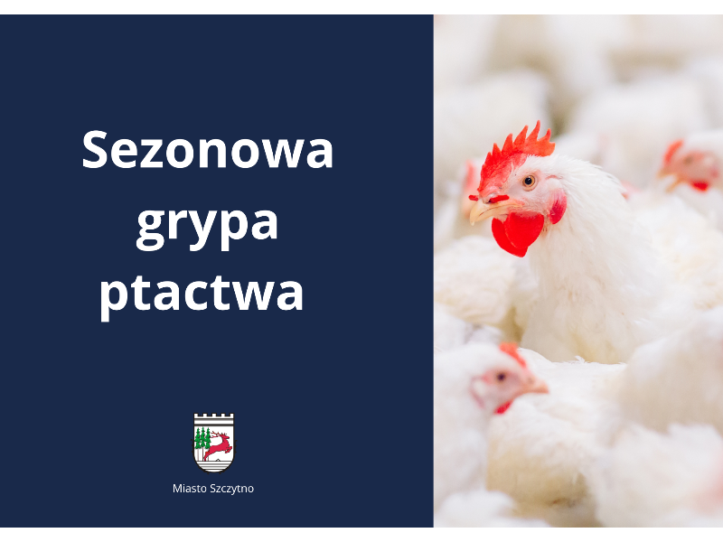 sezonowa grypa ptactwa 