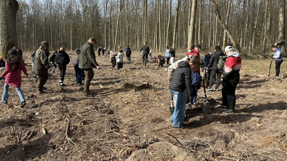 Piątoklasiści z misją – sadzimy las! 