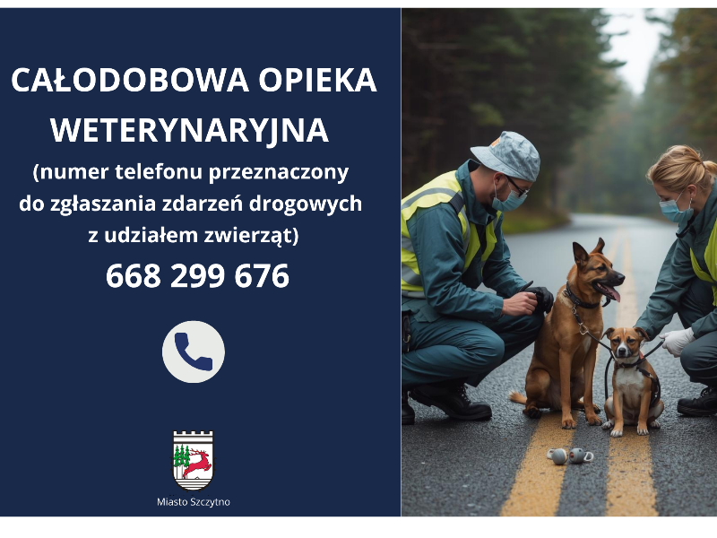całodobowa opieka weterynaryjna 