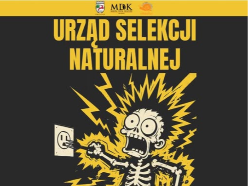 grafika