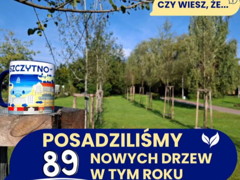 grafika
