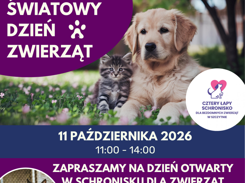 dzień otwarty 